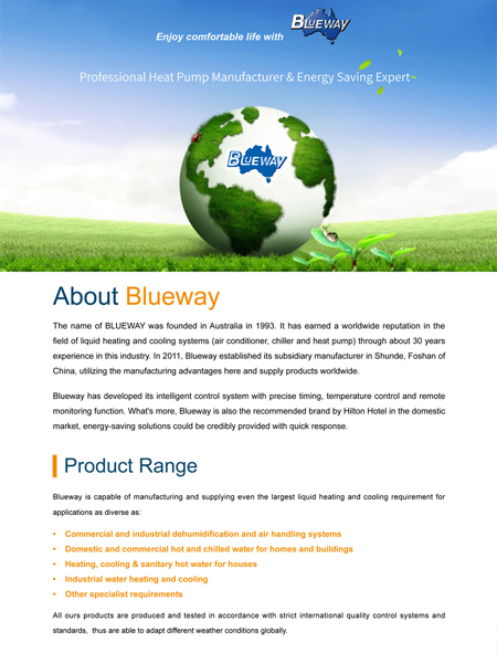 Вступ компанії Blueway
